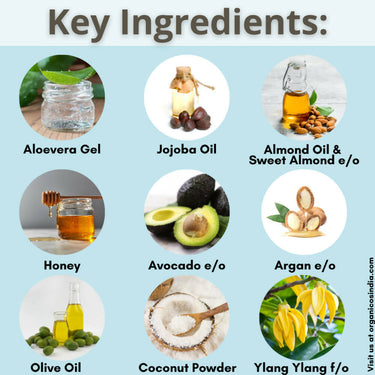 https://cdn.shopify.com/s/files/1/1857/6931/products/x2dLtvq6J2.jpg?v=1663655207